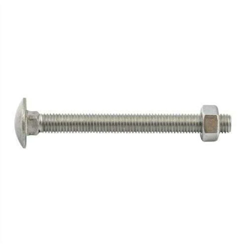 Bolt & Nut S/S Cup M12 x 120