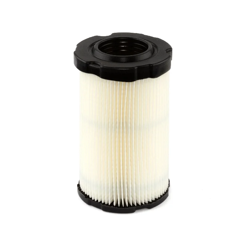 Briggs and Stratton 4243 Air Filter  (5 x 594201)