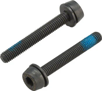 Campagnolo H11 Disc Caliper Mounting Screws, 2x34mm, for 25-29mm Rear Mount Thickness